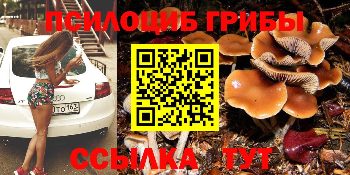 Псилоцибиновые грибы ЛСД Подольск